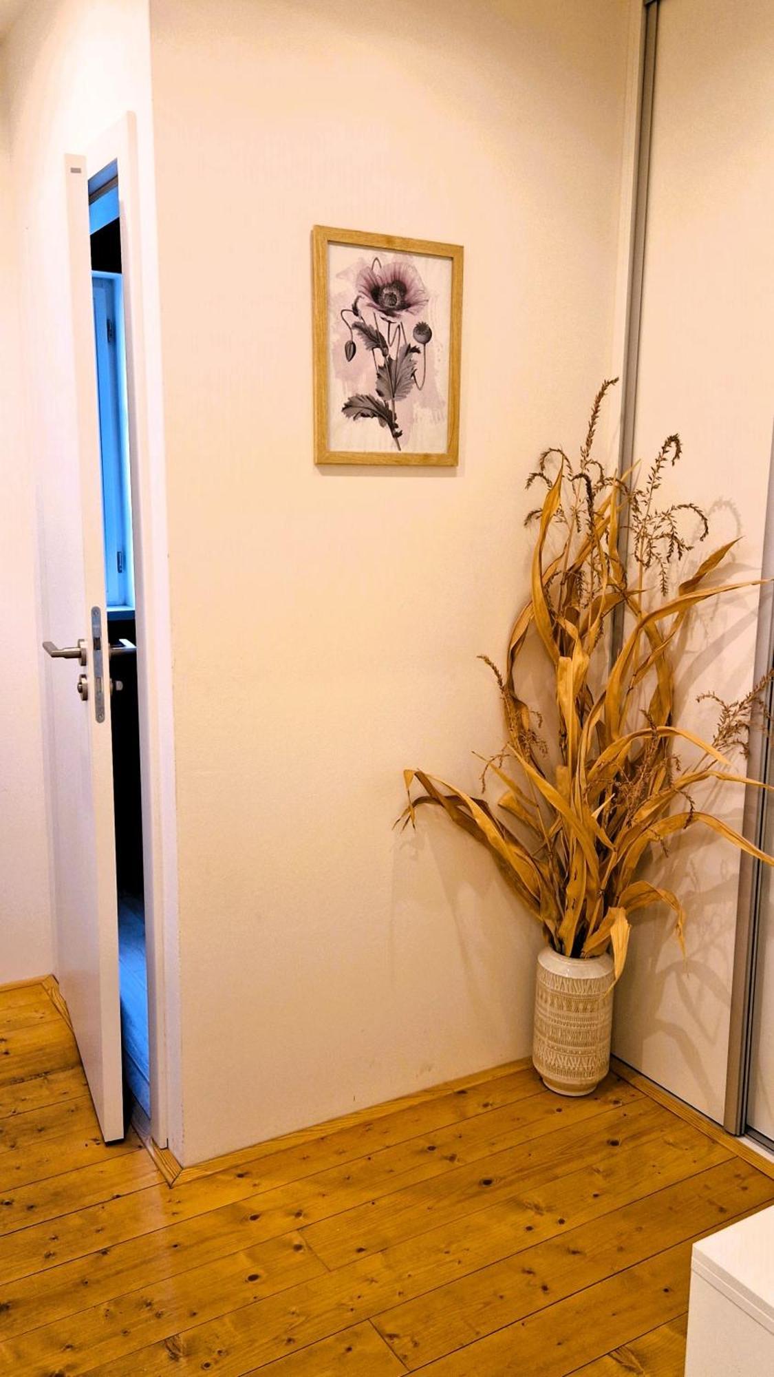 Apartmany Vcelin Brniste Zewnętrze zdjęcie