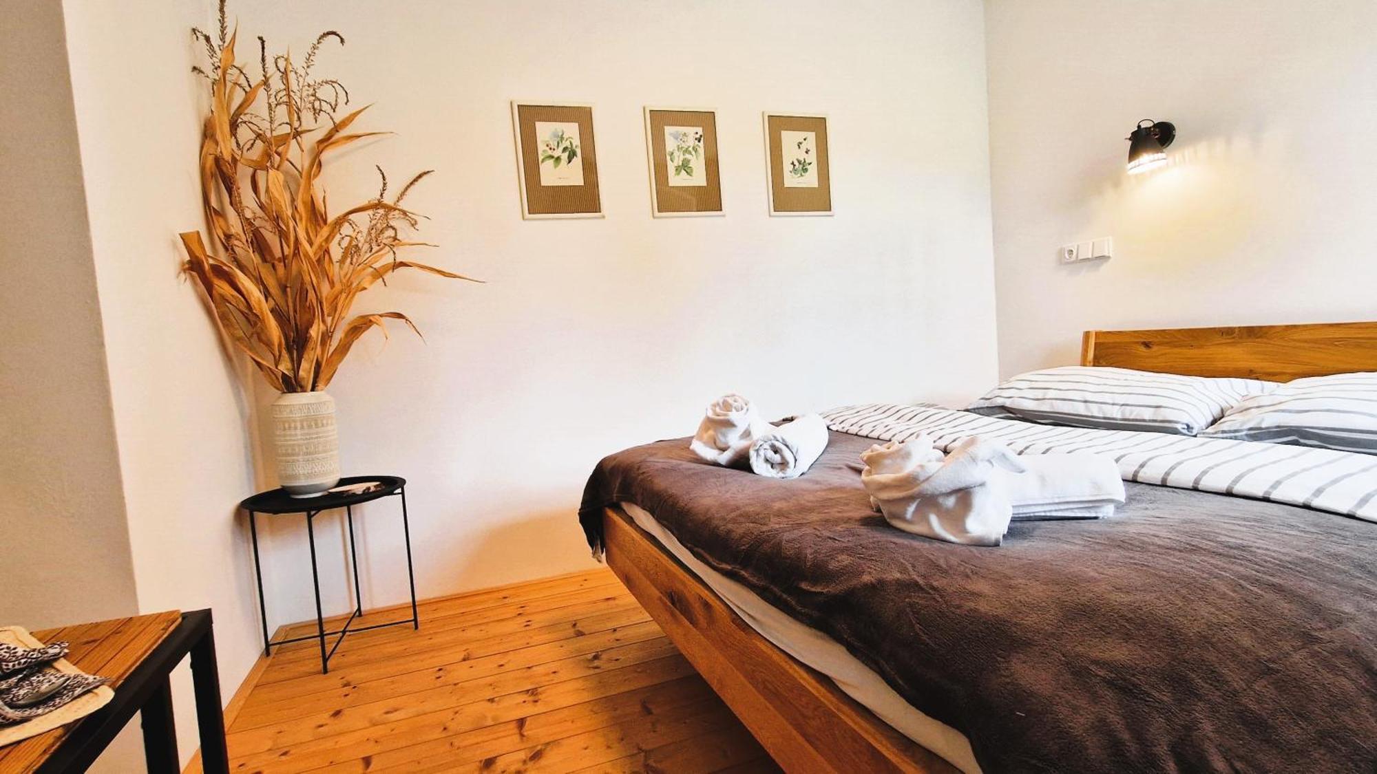 Apartmany Vcelin Brniste Zewnętrze zdjęcie