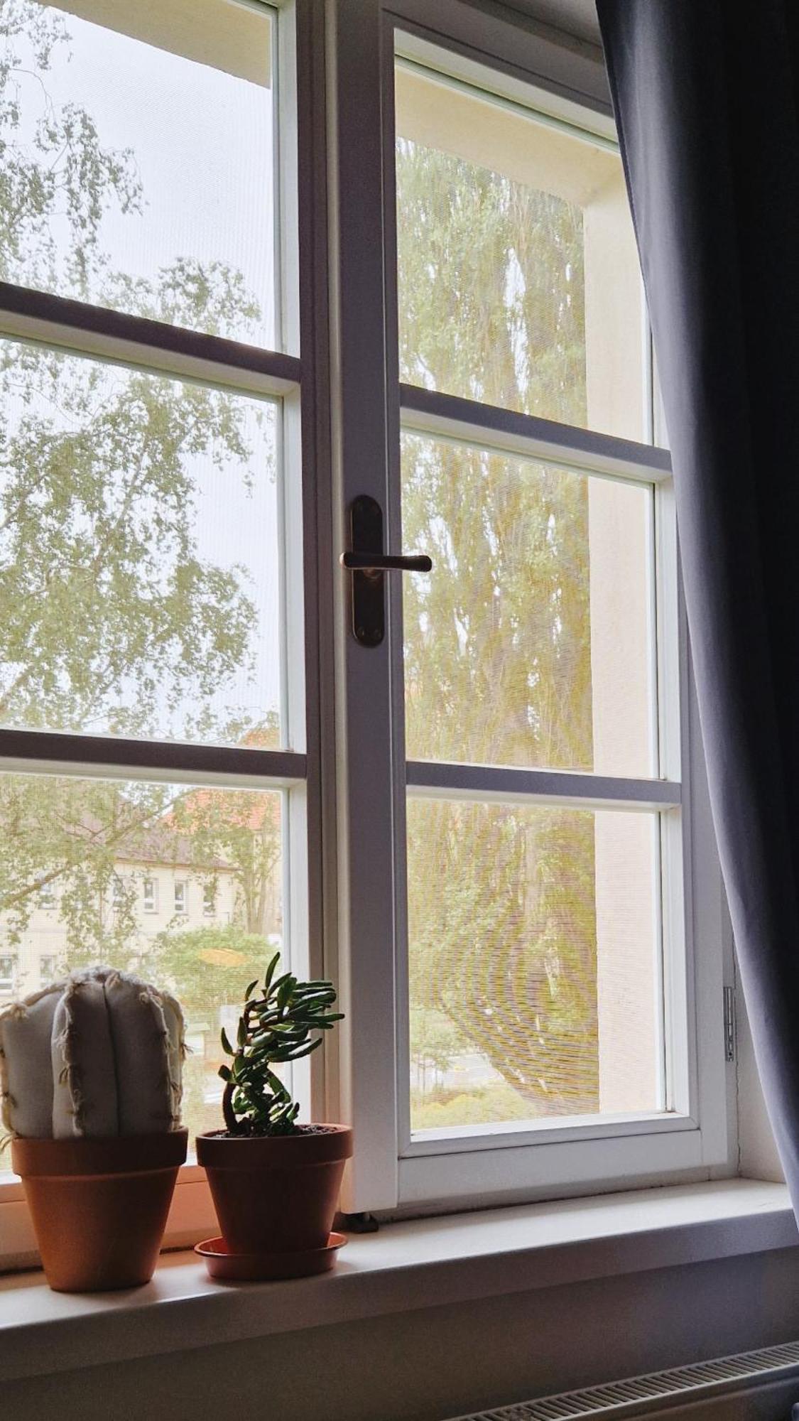 Apartmany Vcelin Brniste Zewnętrze zdjęcie