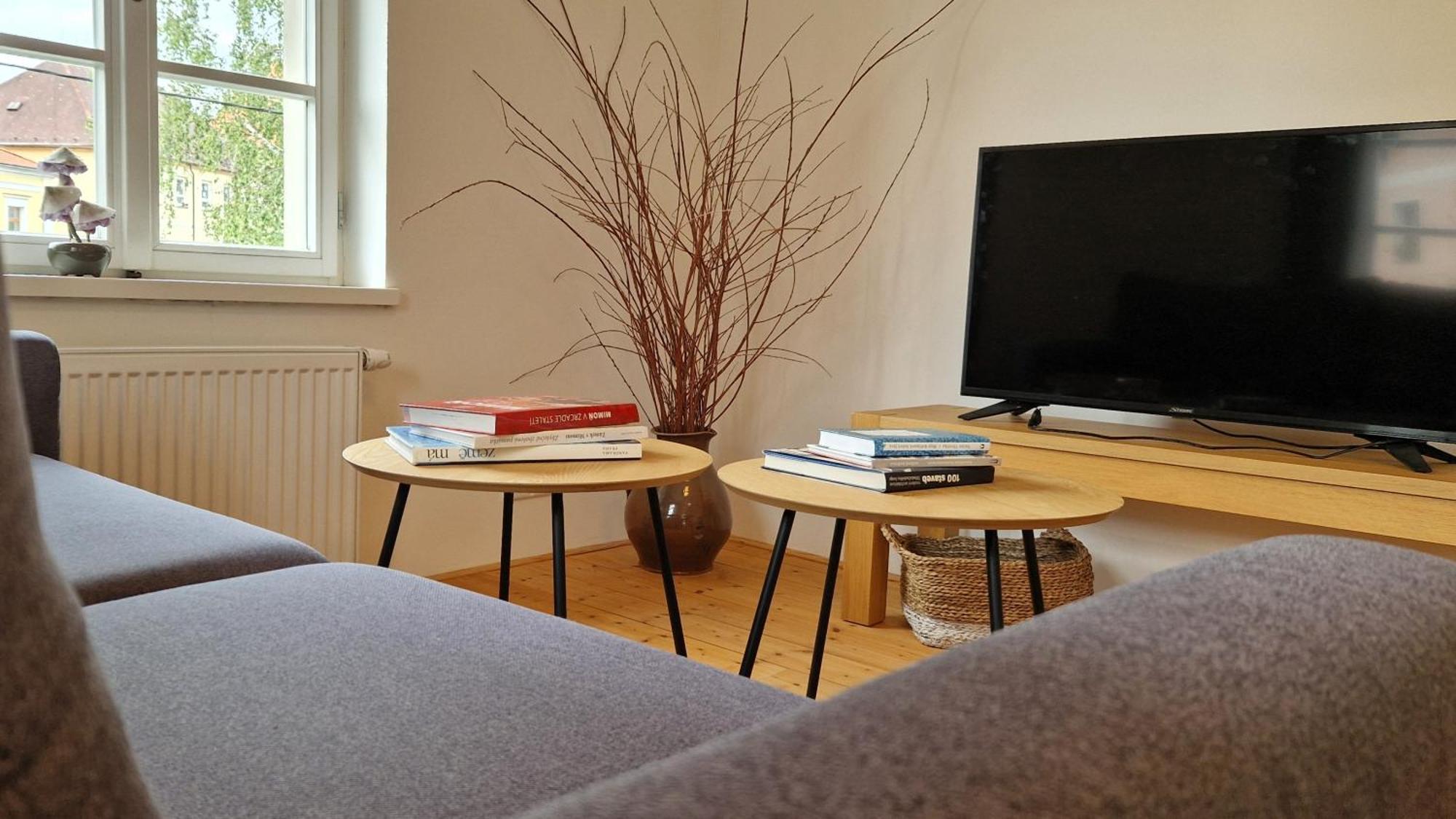 Apartmany Vcelin Brniste Zewnętrze zdjęcie